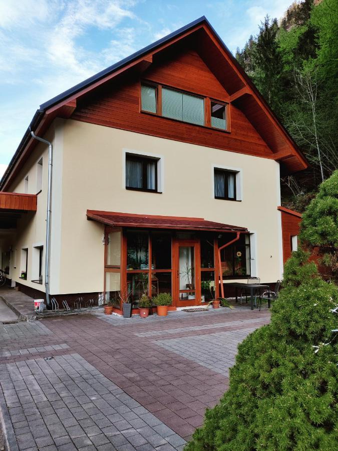 Seeblick Krippenstein Обертраун Экстерьер фото